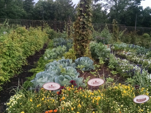 P. Allen Smith's amazing vegetable garden.